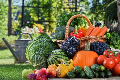 德清農(nóng)副產(chǎn)品特色美食歡樂購開啟，新鮮蔬菜等您來選購