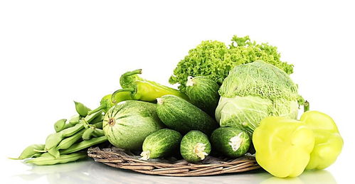 茴香氣泡清洗機(jī)與苗木產(chǎn)品報價分析