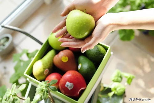 智慧農(nóng)貿(mào)精準(zhǔn)管理 苗木全產(chǎn)業(yè)鏈效率提升之道