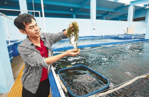 馮家灣 創(chuàng)新水產(chǎn)養(yǎng)殖模式，用地減法、空間加法，產(chǎn)出增六成以上