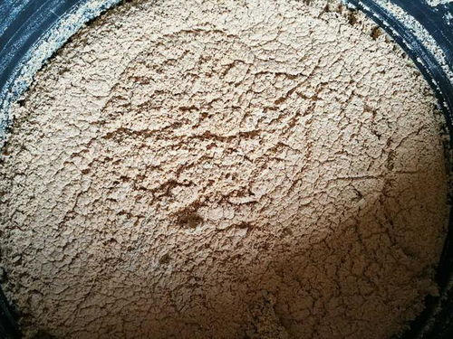 正宇多多黑水虻發酵蟲漿 內陸水產養殖的綠色革命，魚蝦健康新“食”代